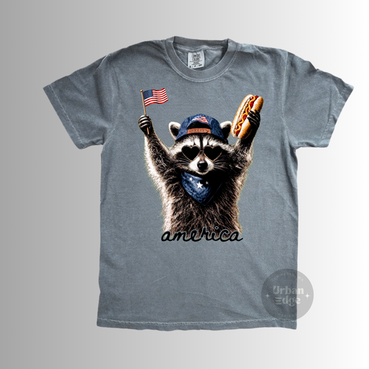 4th of July Racoon